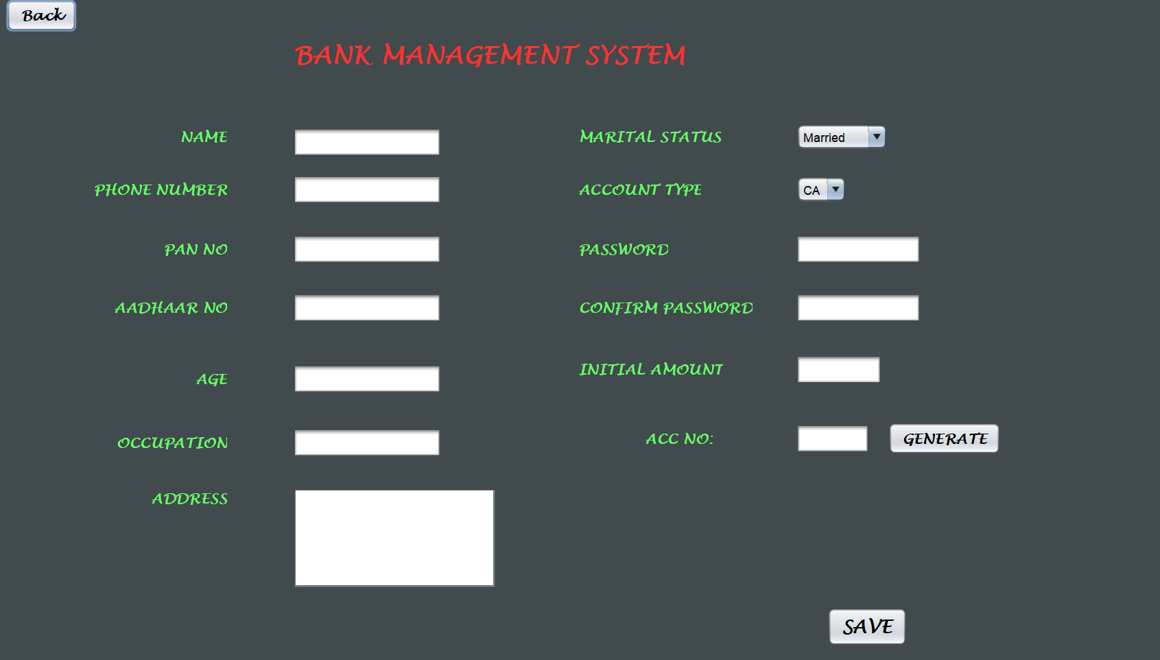 Screenshot of the Banking Application Interface